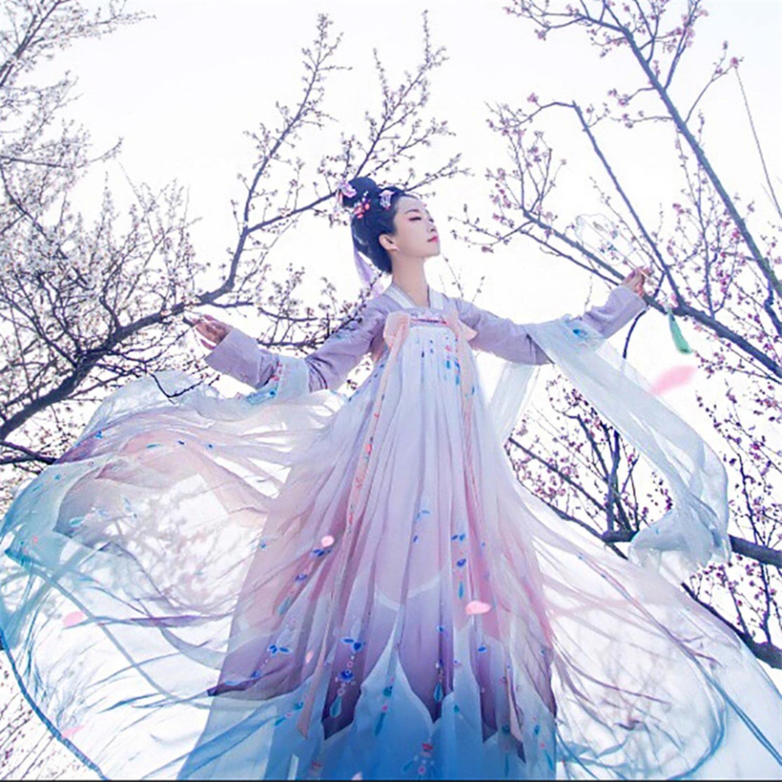 MOOCO MORNINGMOOCO MORNING Woman Chinese Traditional Dance Costumes Elegant Fairy Performance Hanfu Embroidery Oriental Tang Ancient Photography Dress