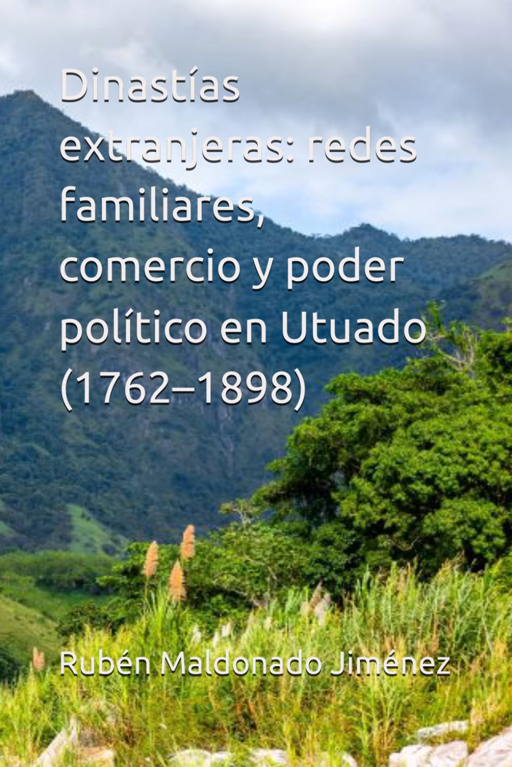 La presencia extranjera en la política utuadeña