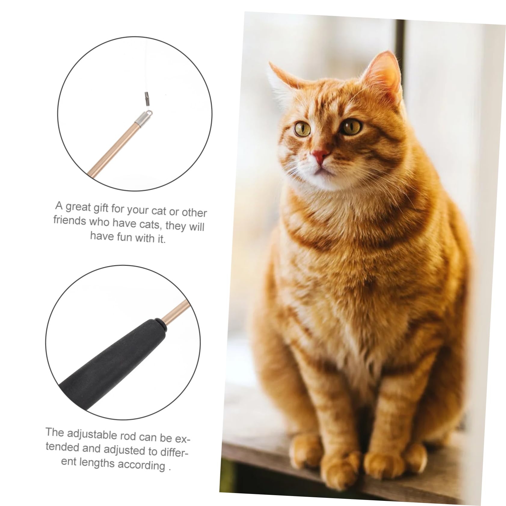 9stücke Teiliges Katzenangel-spielzeugset Interaktive Katzensticks Für Kätzchen Leicht Und Tragbar Fördert Das Spielen Aktivität Ihres Haustiers Farben Variabel