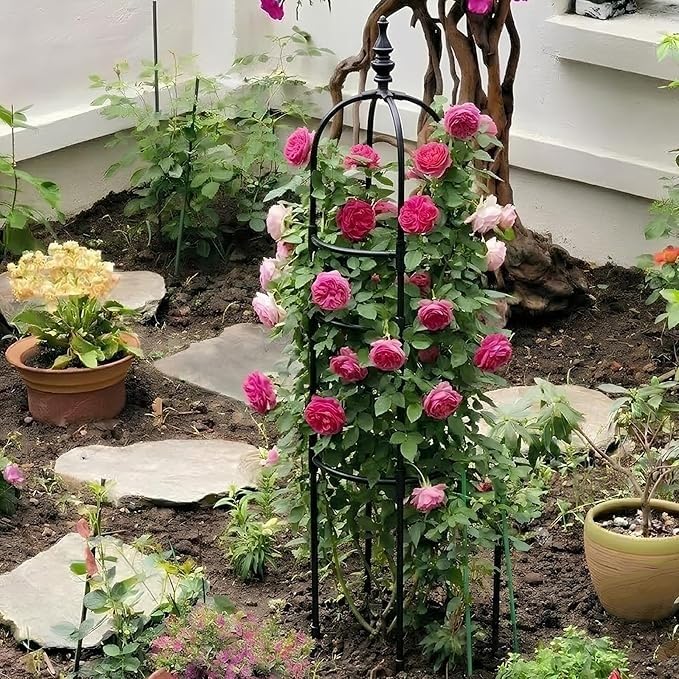 Columna de soporte para rosales trepadores y plantas de jardin en obelisco de 120cm 5