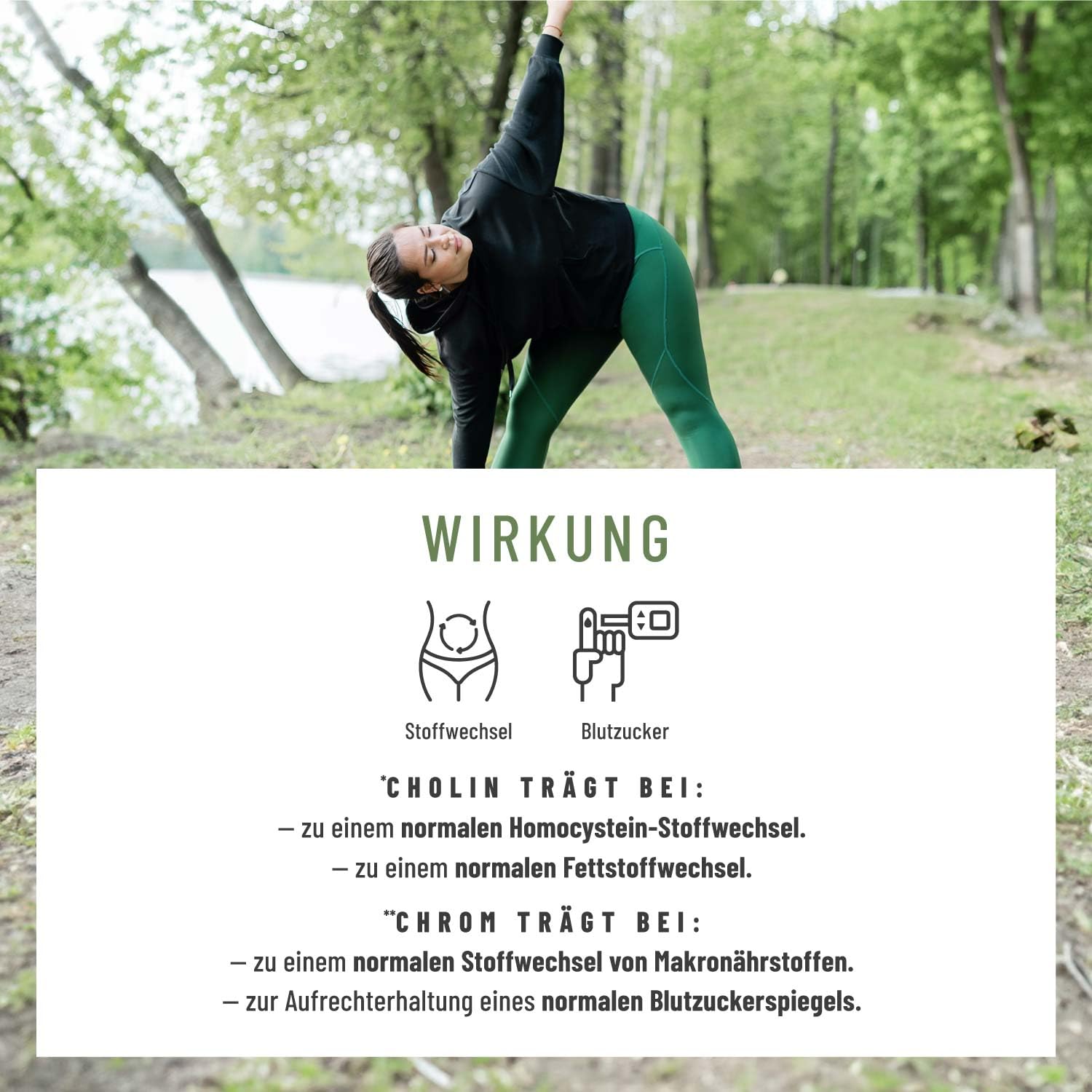 NATURTREU® Stoffwechsel Kapseln Diät Unterstützung - Hochdosiert mit Grünem Tee, Forskohlii, Cholin, Spargel, Bittermelone, Garcinia Cambogia & Chrom - 120 Stoffwechsel Kapseln vegan