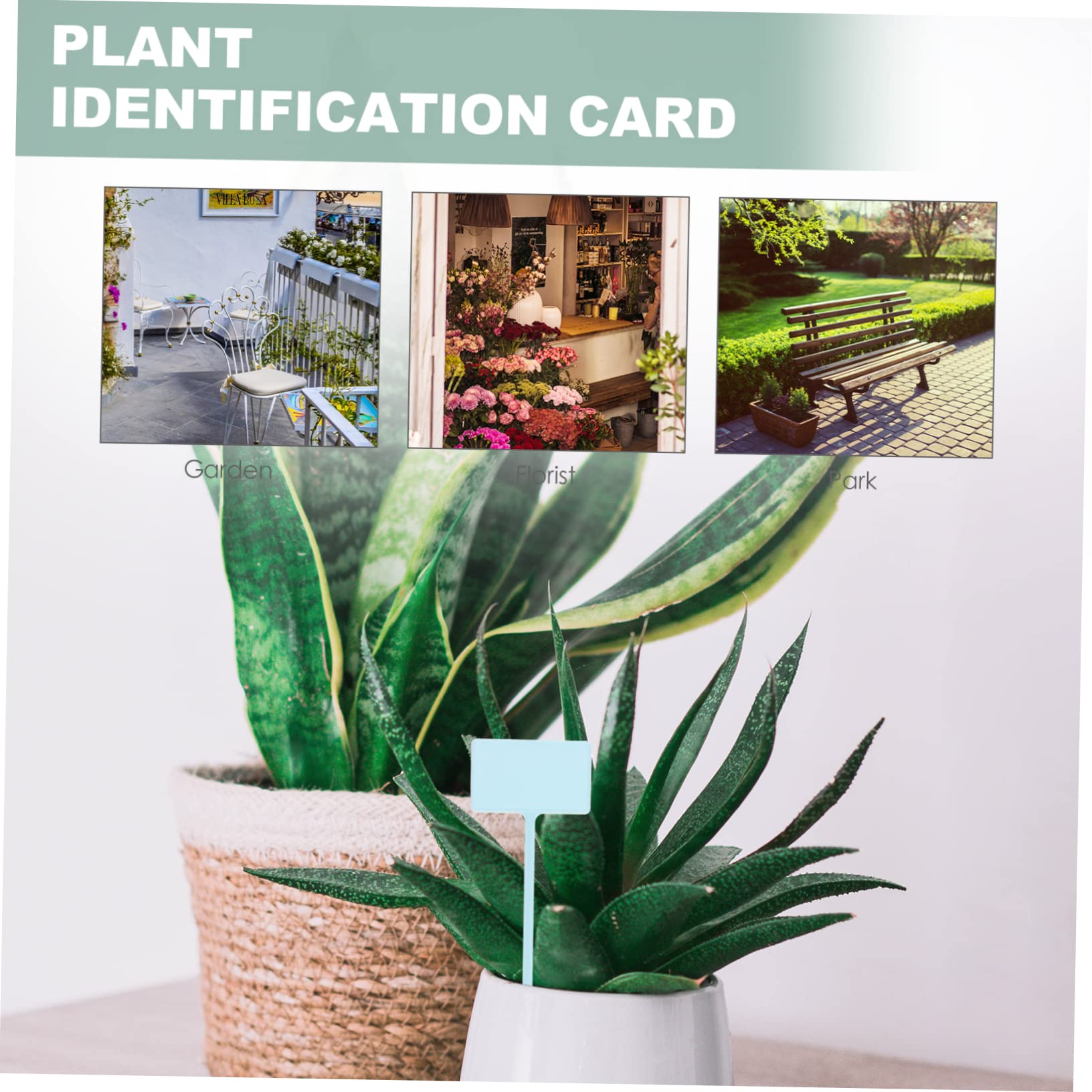 Toddmomy 120stücke Pflanzenmarker Für Garten Und Pflanzenpflege Wiederverwendbare Beschriftbare Kunststoffetiketten Für Blumen Und Sukkulenten