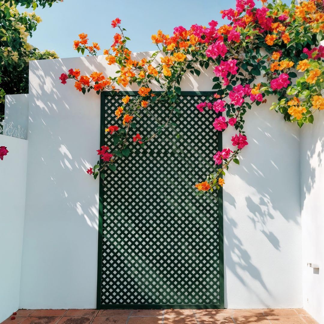 Nortene | Celosia Lop 0.6x1.15 M Verde | Decoración Exterior | Cerramientos Ambientes Modernos