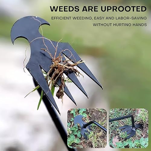 Miniatura 5 de Herramienta de deshierbe de jardín de acero al manganeso de 4 dientes forjado manual herramienta portátil de deshierbe de raíces adecuada para