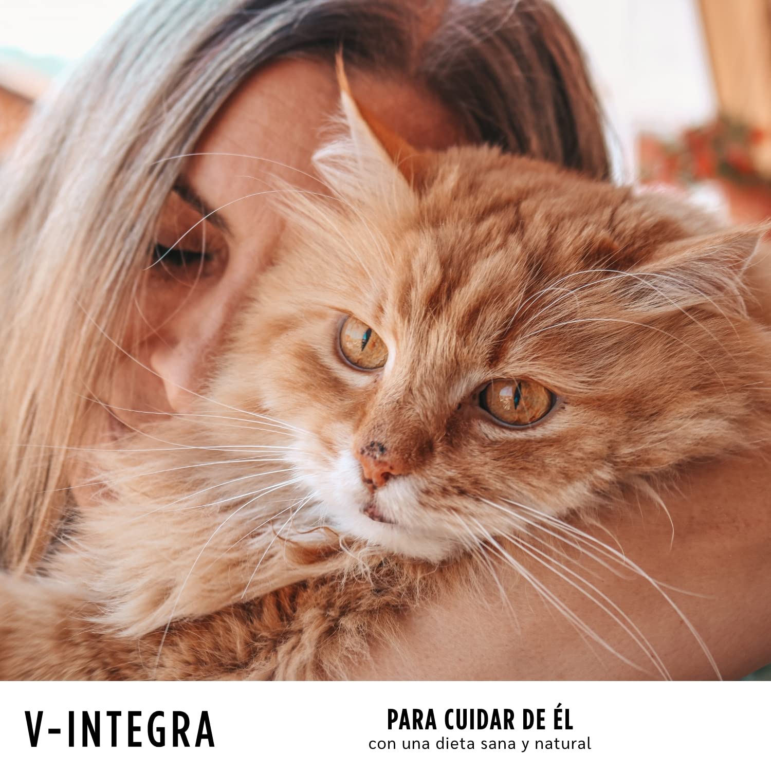 V INTEGRA Renal 200g, Suplemento de Vitaminas y Minerales para Equilibrar Dieta Casera de Perros y Gatos Que Requieren Restricción de Fósforo, Vitaminas para Perros y Gatos Made in Ita