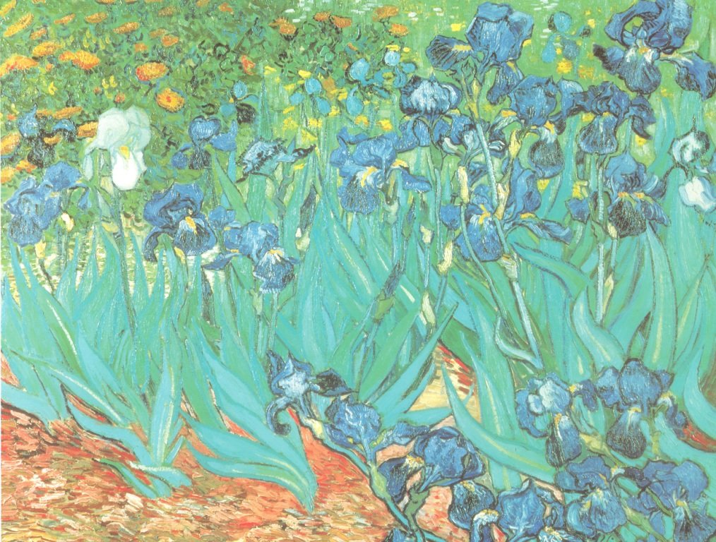 VON LILIENFELD apaszka damska 100% jedwab Vincent van Gogh Iris apaszka z motywem kwiatowym jedwabna apaszka 172 x 42 cm
