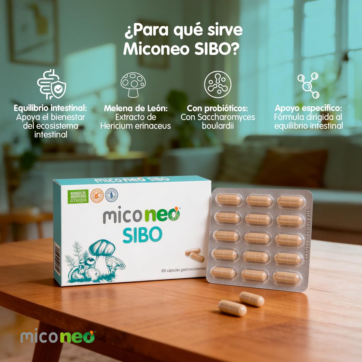 MICO NEO - Complemento Alimenticio con Melena de León y Saccharomyces Boulardi - Probiótico Natural para Afecciones Intestinales