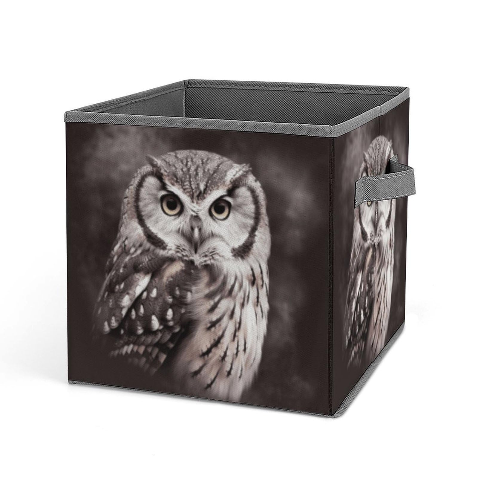 BTCOWZRV Owl Black Cube Storage Bins - 11 Inch Heavy Duty Fabric Closet Bins for Shelves, Cube Organizer - Collapsible Storage Boxes with Handle Decorative Clothing Storage Baskets