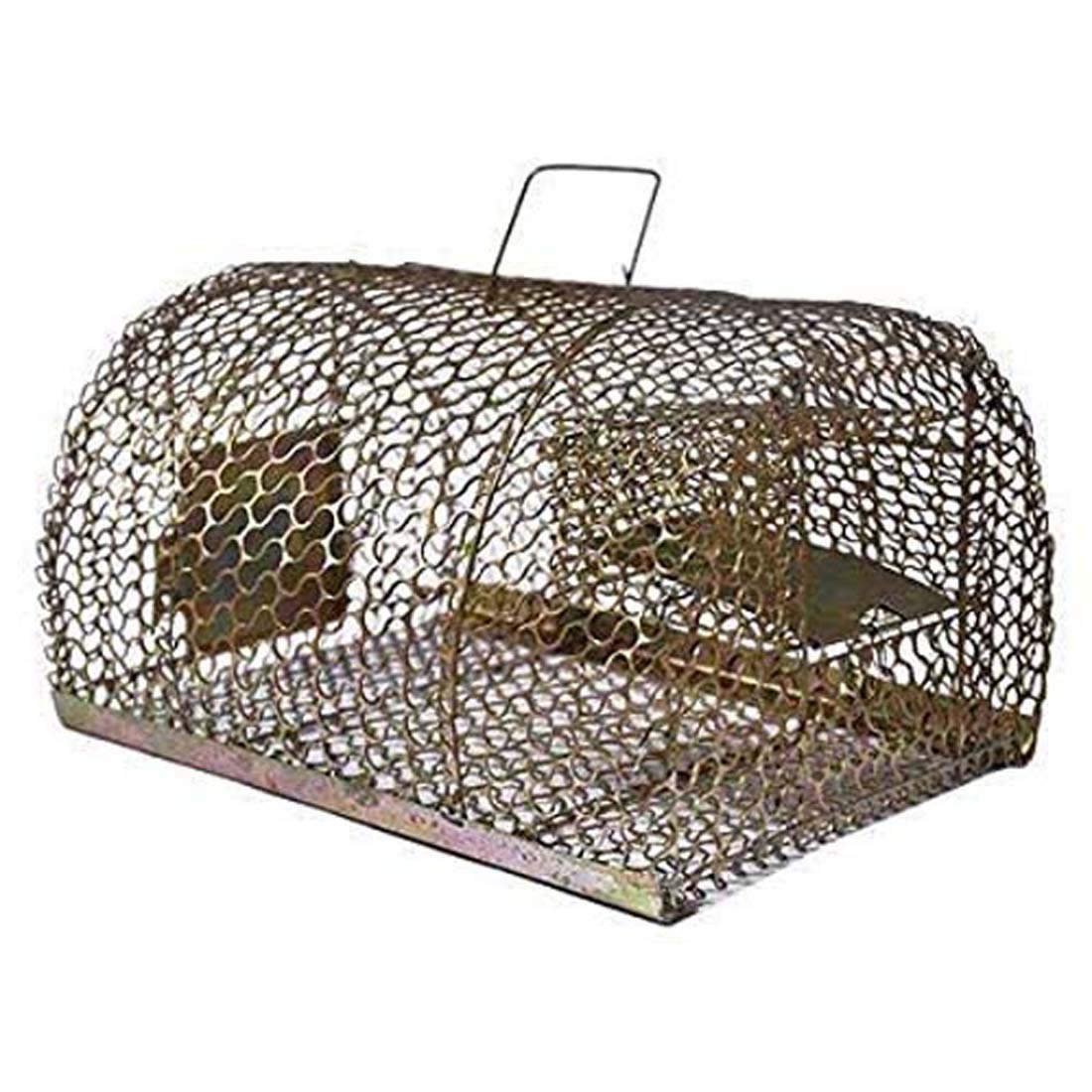 Large Size Mouse/Mice/Rat Trap Pinjara Cage for Big Rates (11 Inch x 8 Inch x 6 Inch)-image-36
