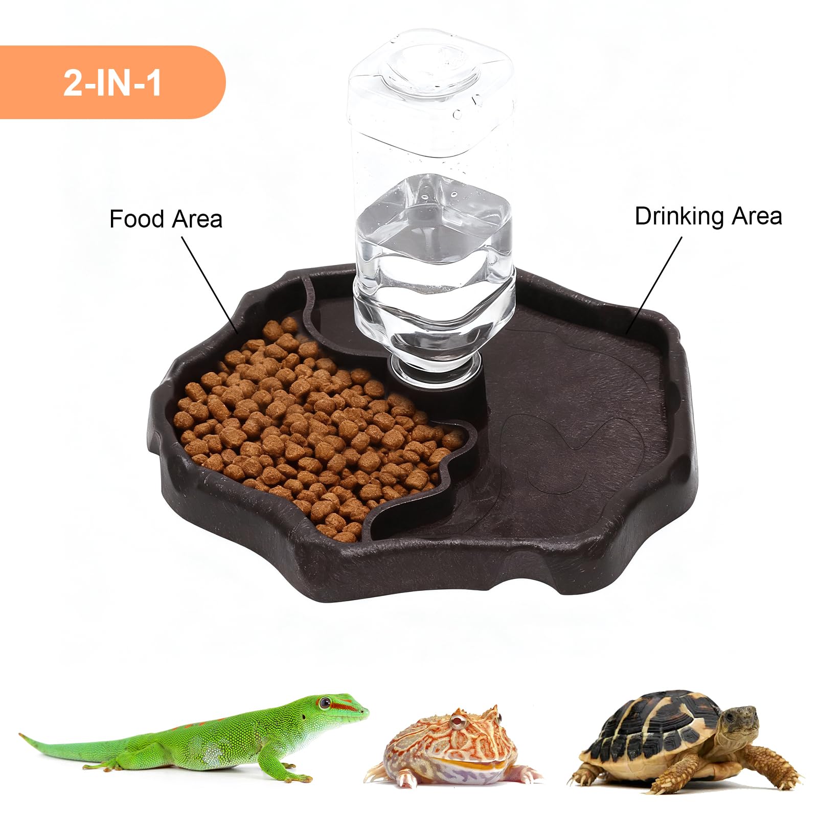 Abreuvoir Tortue Terrestre, Abreuvoir Reptile avec Bouteille, Gamelle Tortue Terrestre et Distributeur Eau Tortue Terrestre 2 en 1, Abreuvoir Tortue Automatique pour Lézards, Geckos, Serpents