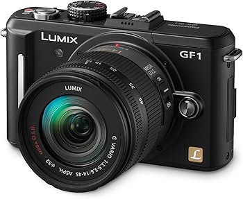 Amazon.com : Panasonic Lumix DMC-GF1 12.1MP Micro Four-Thirds