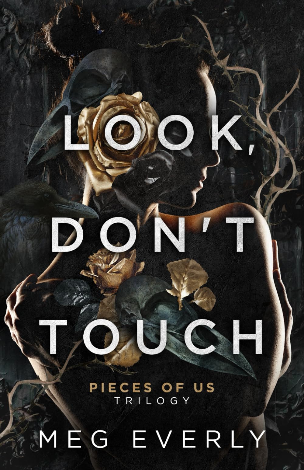 Look, Don't Touch: A Dark Billionaire Romance (Pieces of Us)