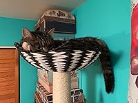 Review Image by Amaluna Amaluna