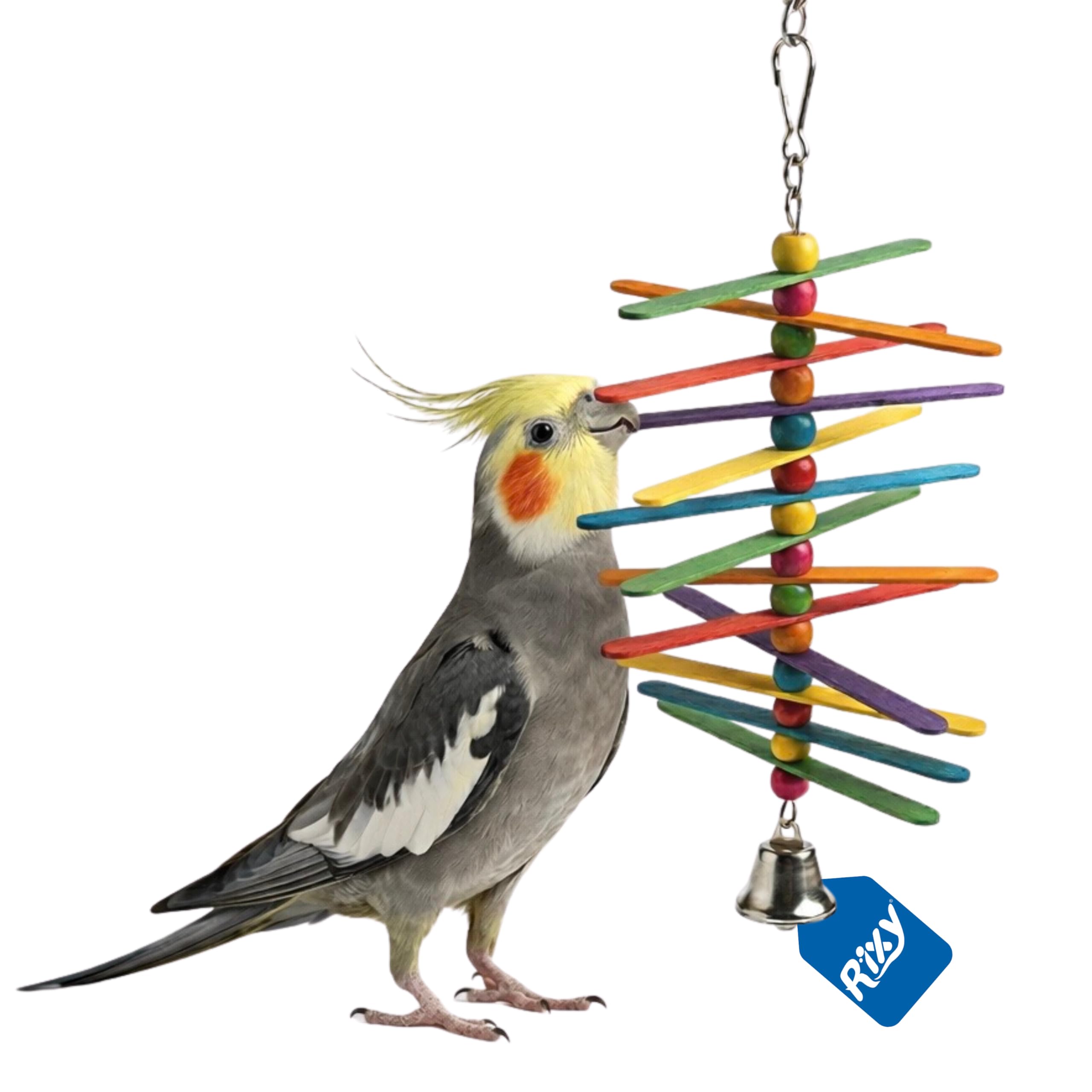 Rixy Natural Wood Hanging Chew Toy for Birds | Foraging Wooden Toy with Colourful Sticks, Beads & Bell for Finches, Budgies, Lovebirds, Cockatiels & Conures | Ideal for Small & Medium Birds