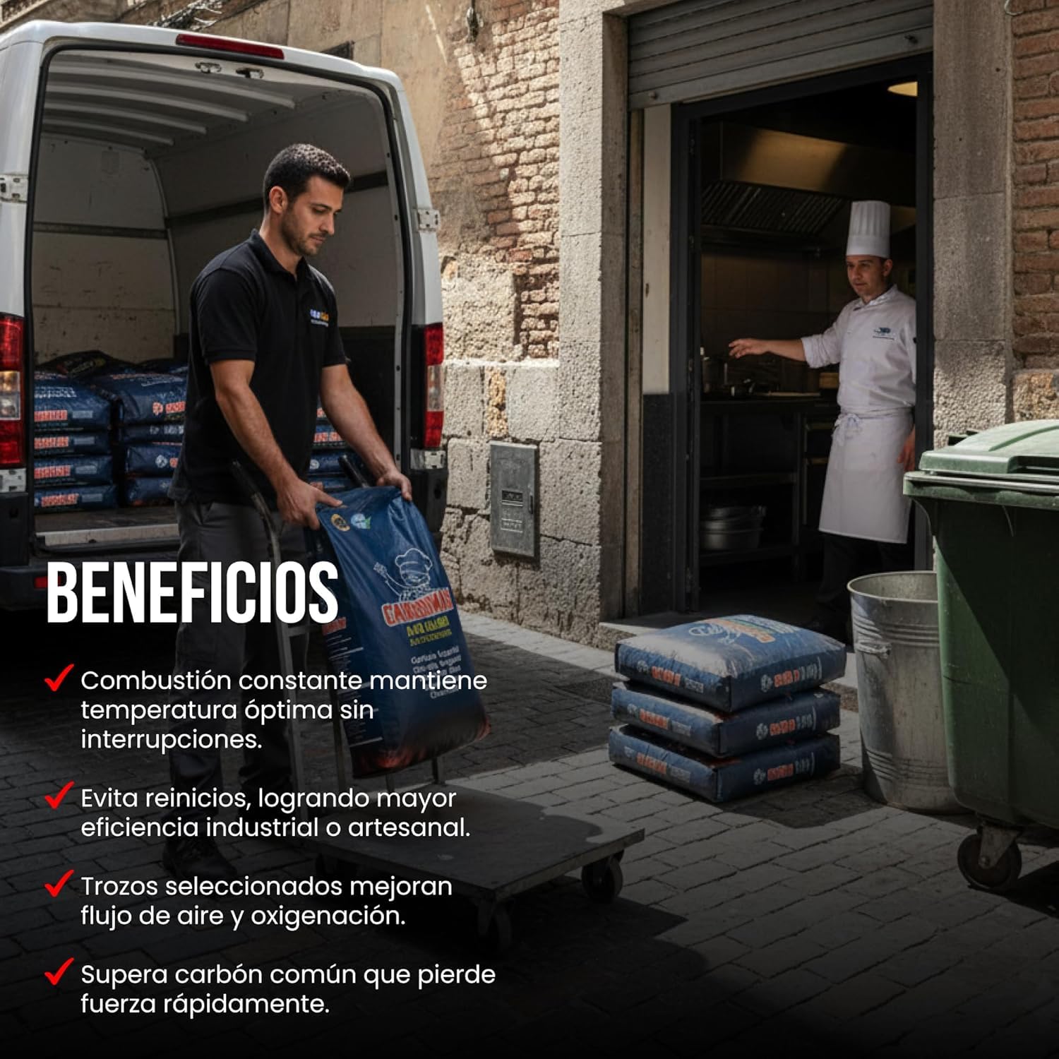 Carbón Vegetal Barbacoa Encina 100 Natural Grueso Saco 20kg Profesional Hostelería Cocina Exterior Brasa Gourmet Alta Temperatura Sin Humo Combustión Lenta Aroma Sabor Carnes (Saco, 1, Unidad)