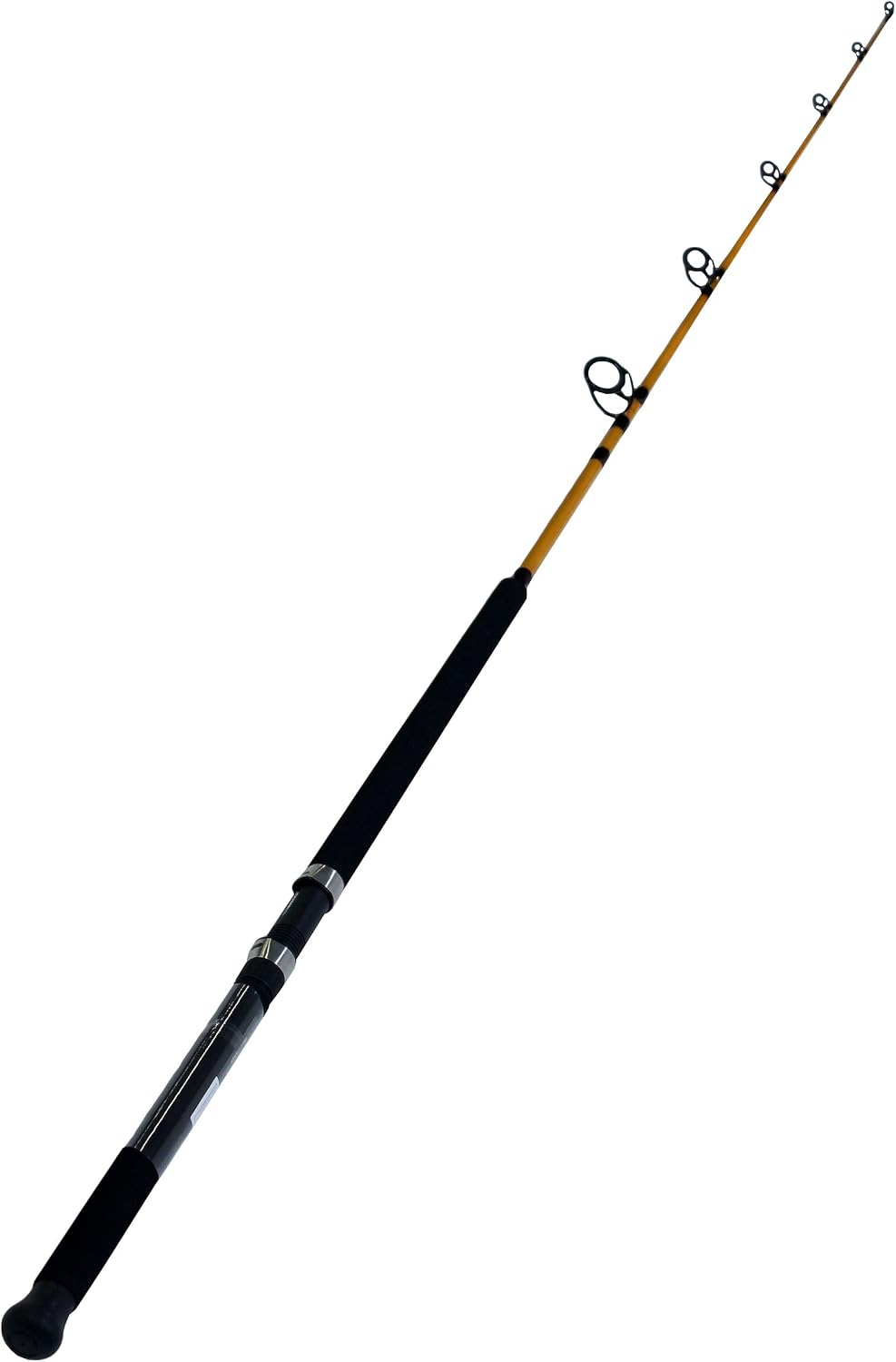 DaiwaDaiwa, FT Spinning Rod, 7' Length, 1 Piece Rod, 15-30 lb Line Rating, Medium Power
