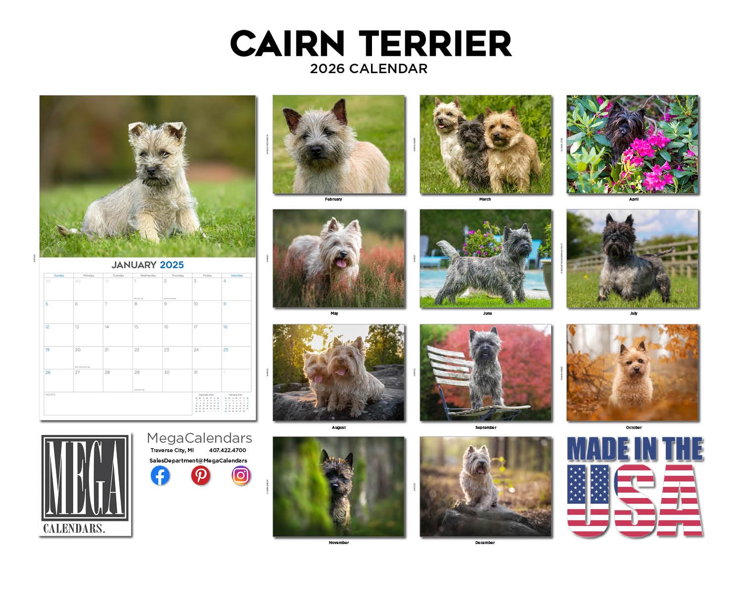 Calendario 2024 2025 Cairn Terrier, calendario mensile da parete con razza di cane, 30,5 x 45,7 cm, aperto, carta spessa senza sbavature, regalo, calendario per insegnanti accademici, organizzazione e