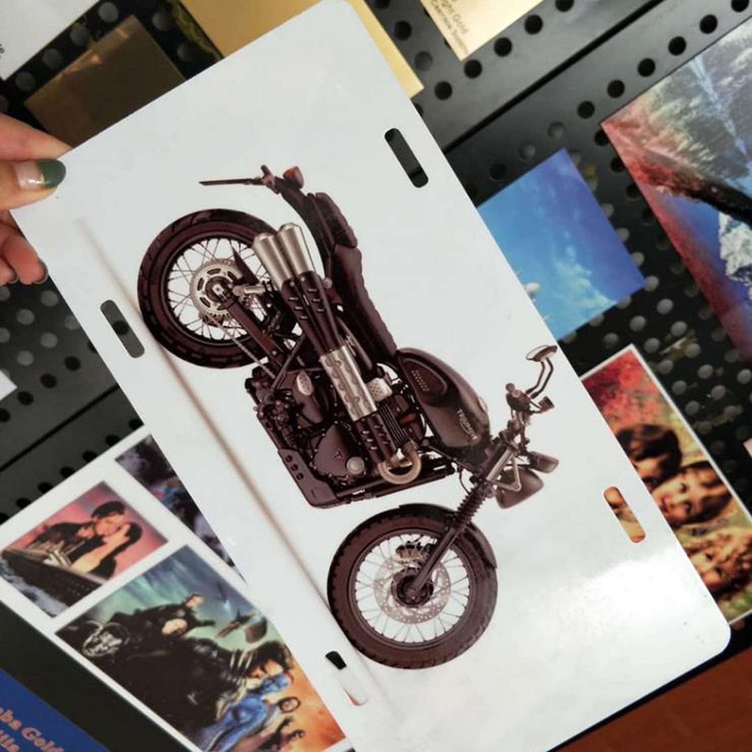 2pcs Sublimation License Plate Blanks, Heat Thermal Transfer Sheet DIY Picture Sublimation Blank, Metal Aluminium Automotive License Plate for Custom Design. (White)