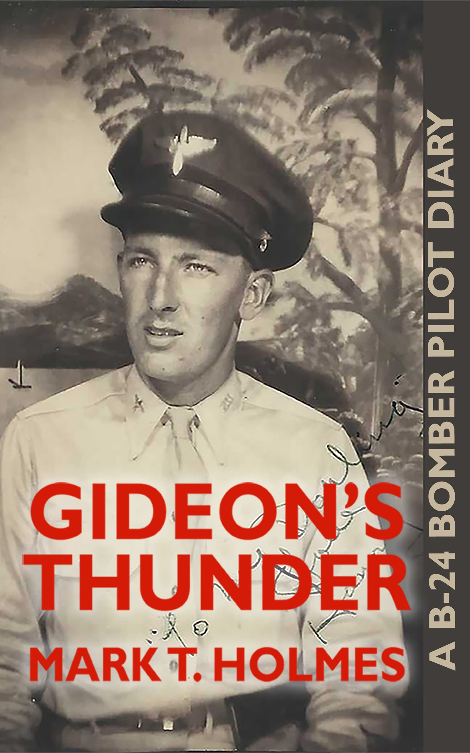 Gideon's Thunder: A B-24 Bomber Pilot Diary
