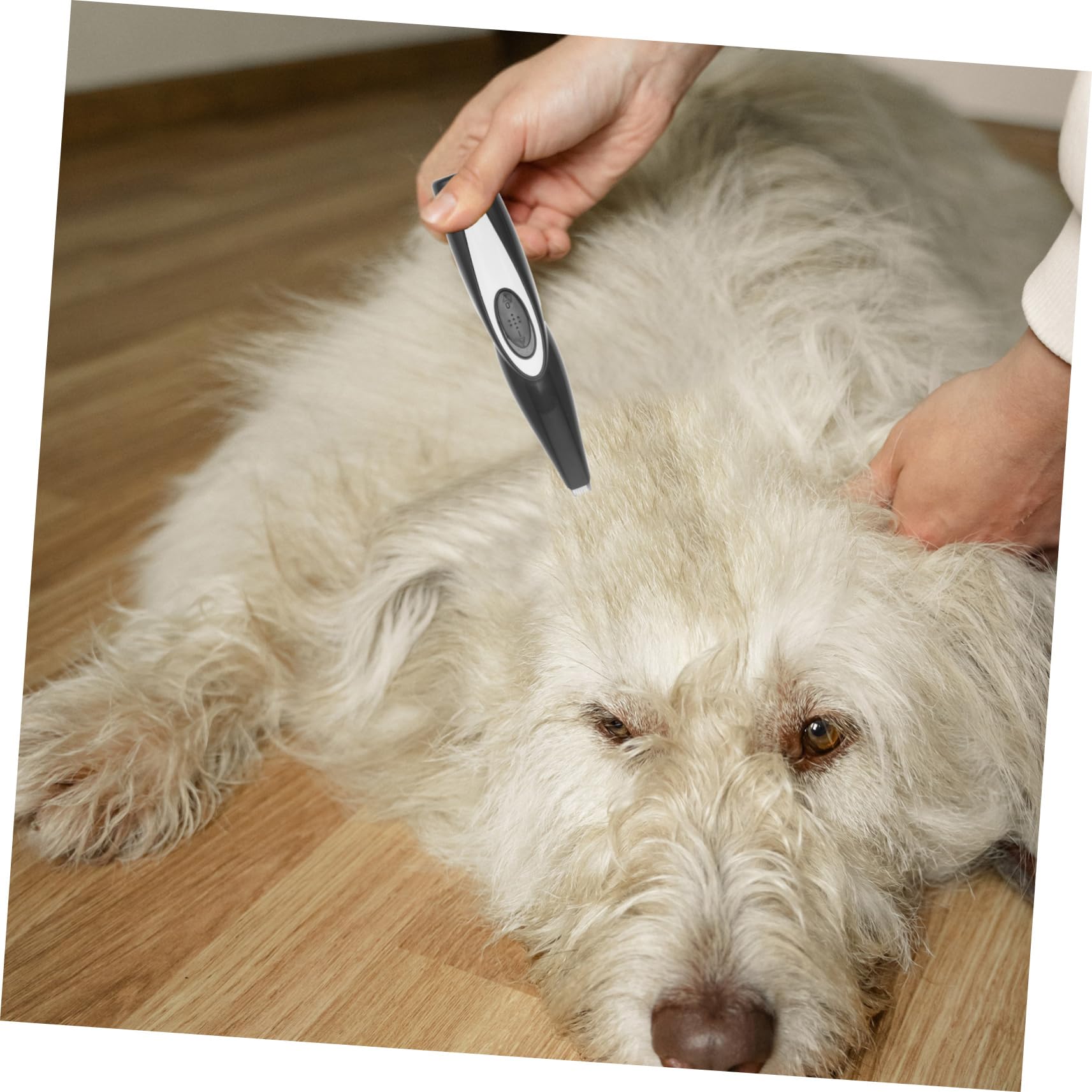 POPETPOP 5 Piezas cortadora eléctrica USB cortapelos para mascotas kit de aseo para mascotas tijeras de peluqueria canina cortapelos para perros cortadora de as para gatos