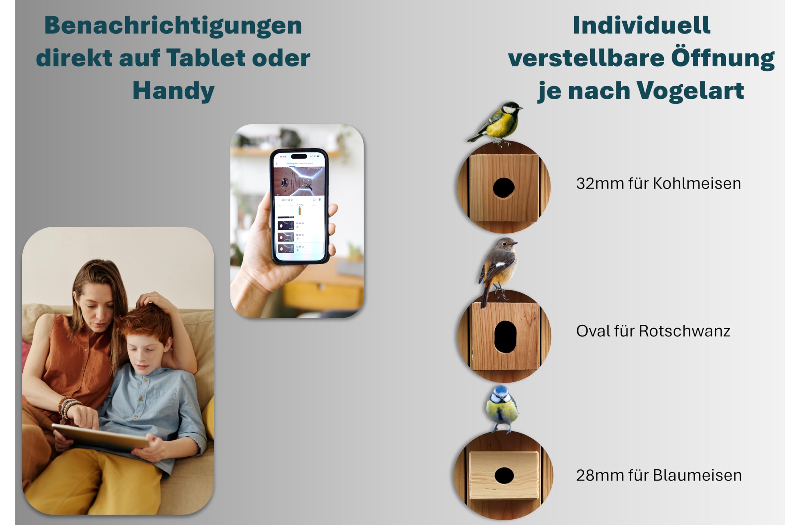 Nido di alta qualità con fotocamera, Live Stream, in legno massiccio certificato PEFC®, casetta per uccelli, 3 m + cavo di alimentazione da 20 m, idea regalo per il giardino