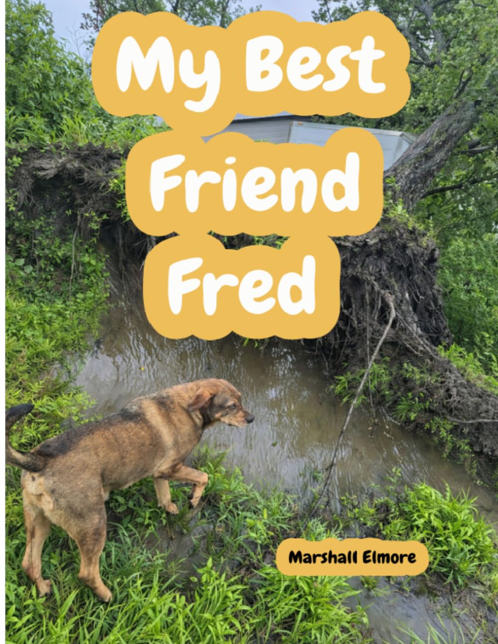MY BEST FRIEND FRED (Beyond the Corner: Fred's World of Courage)