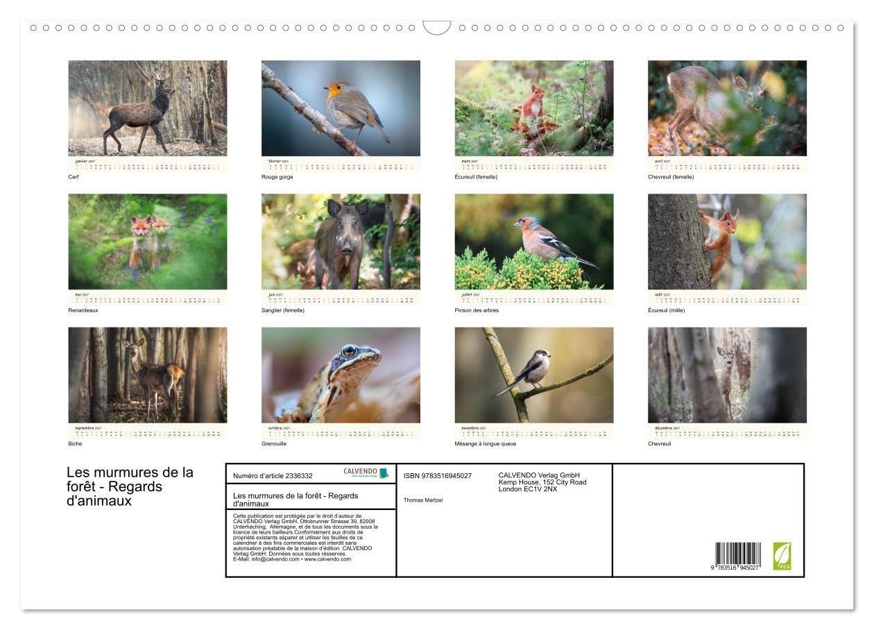 Les murmures de la forêt - Regards d'animaux (Calendrier mural 2027 DIN A2 vertical), CALVENDO calendrier mensuel: Un calendrier fascinant qui révèle, ... saisis dans l'intimité de leurs regards.
