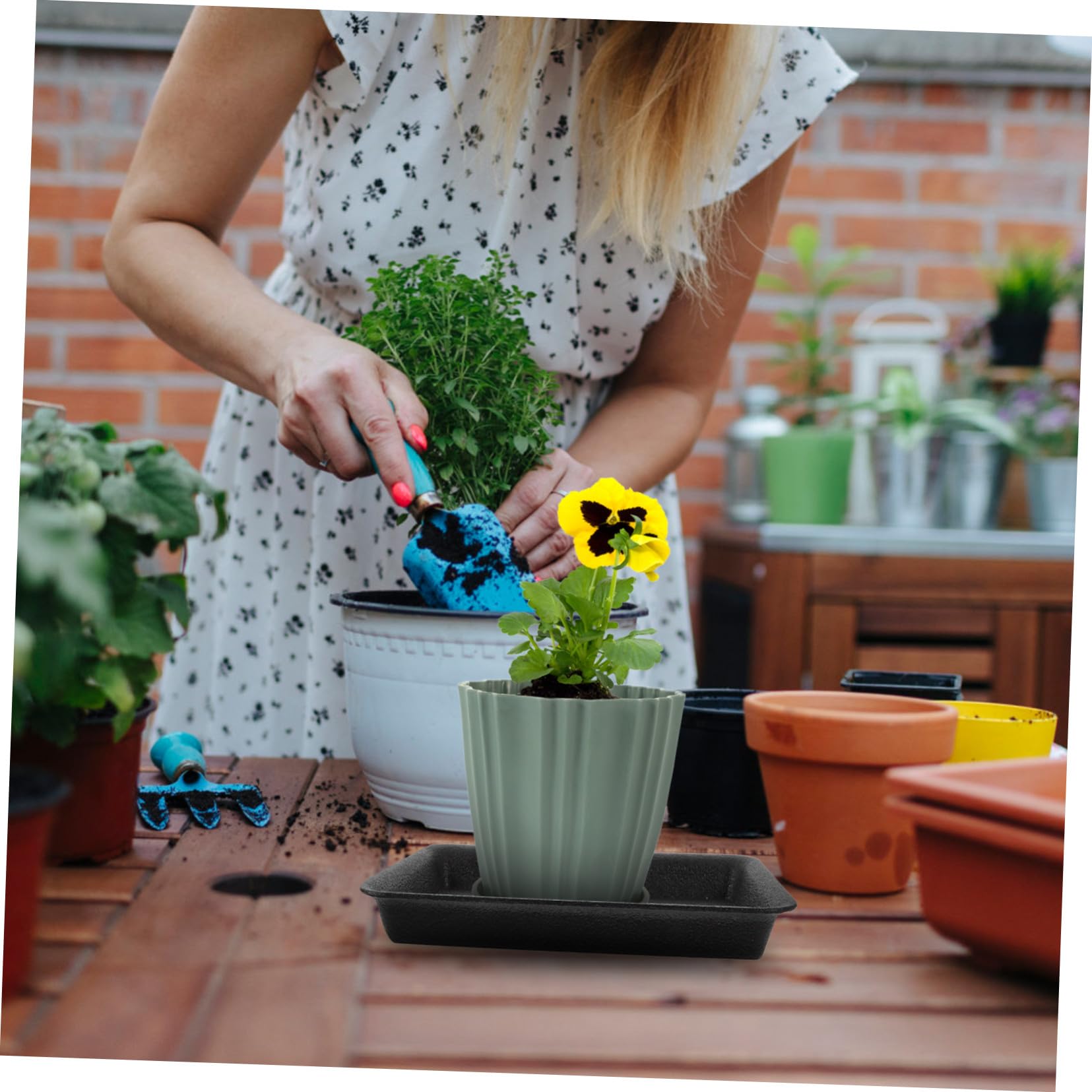 Platillos Rectangulares Negro de Plástico para Macetas 6 Piezas | Bandeja para Plantas de Mesa, Uso Exterior y Jardín, Evita Fugas, Protege Suelos y Muebles