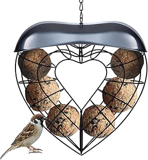 Lrxinki Wild Garden Bird Fat Ball Feeder, Heart shape Fat Ball Feeder Metal Bird Feeder, Hanging Wild Bird Seed Feeder Feeding Tool, Squirrel Proof Bird Feeder Garden Bird Feeders