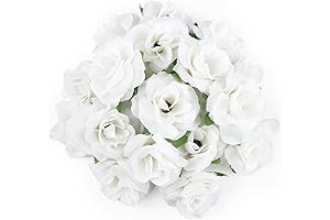 Kesoto Mini White Roses, 50 Pieces