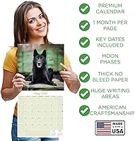 Vista 1144 de Razas de Perros 2017