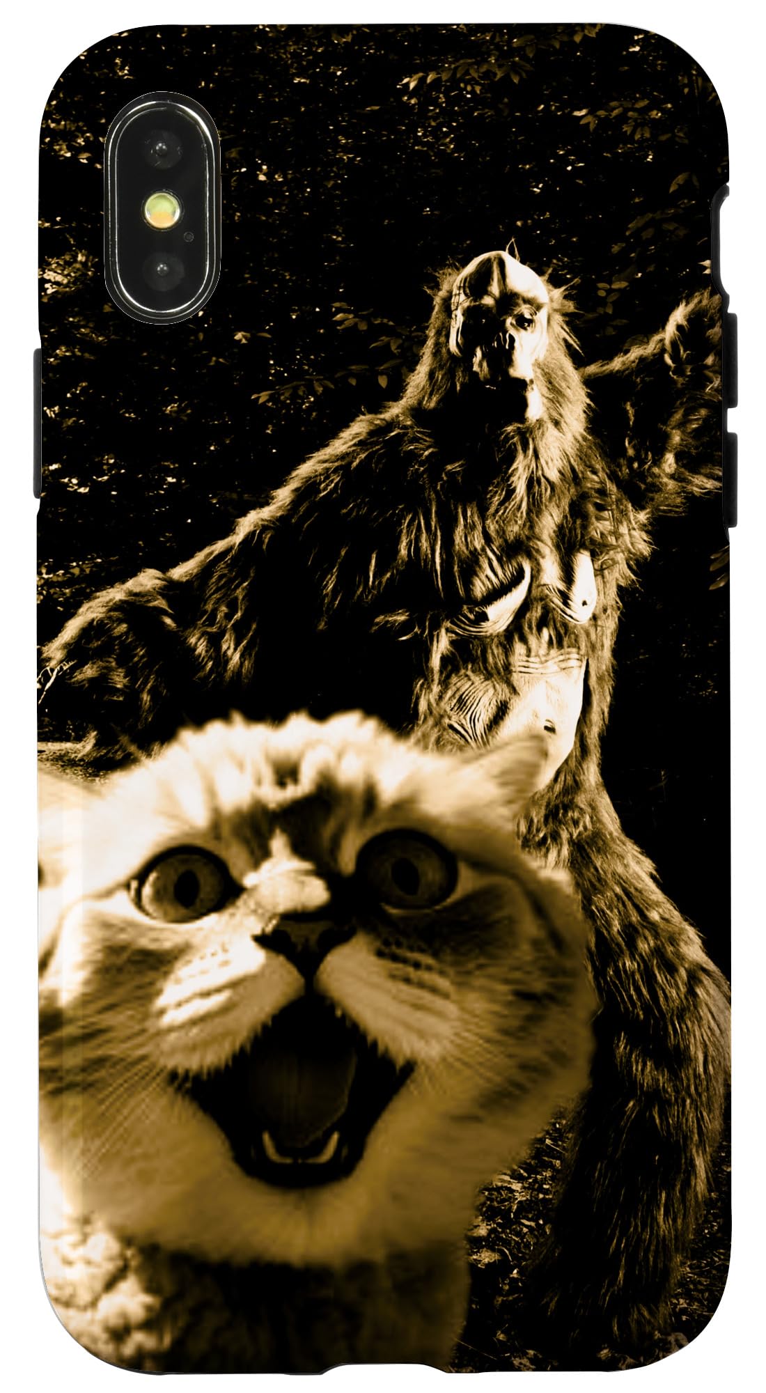 iPhone X/XS Cat meme