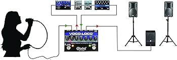 Amazon.com: Radial Voco Loco Microphone Effects Loop