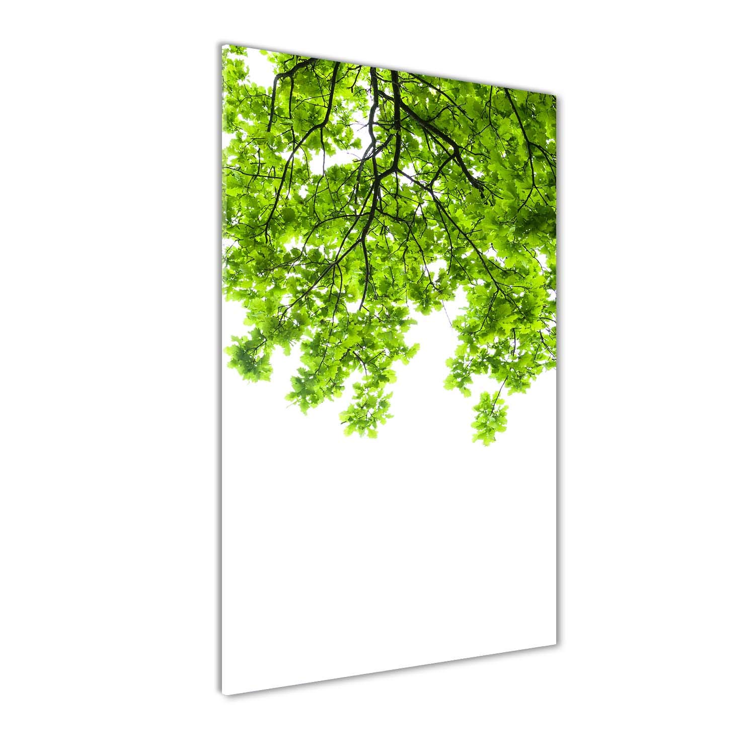 Image couronne d'arbres 70x140cm Tulup, décoration murale en verre pour salon zen