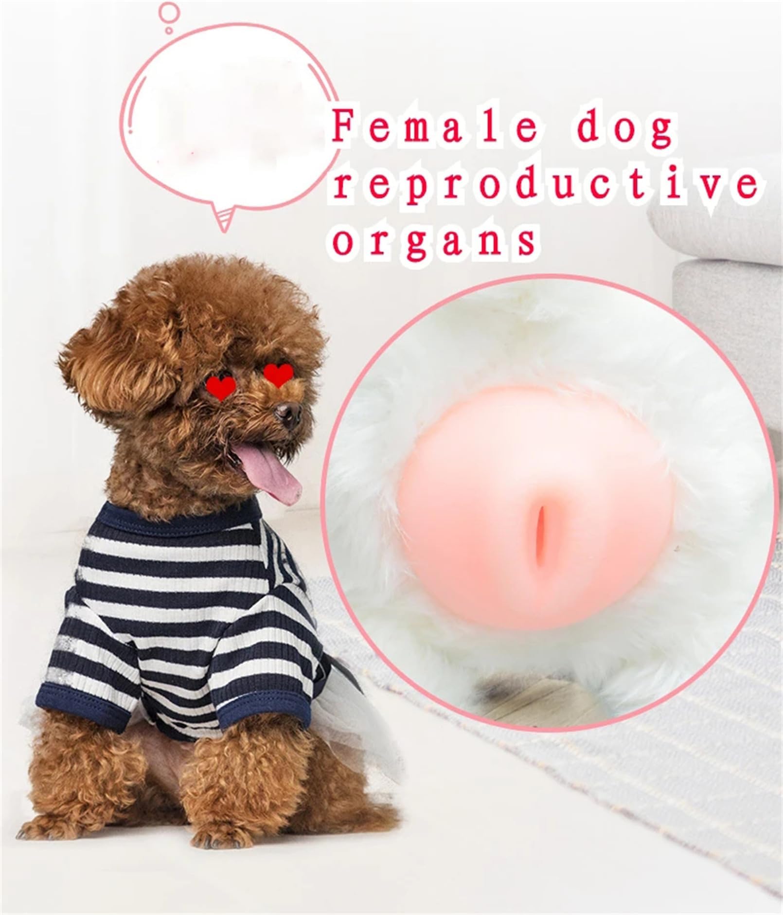 Männliche Hunde Paarung Spielzeug, Hunde Interaktives Schlafspielzeug, Silikonsimulation Angst Relief Hund Spielzeug, Kleinhunde Reliefspielzeug für Östrushund, Plüsch -Puppenbraut 18cm/7.1in