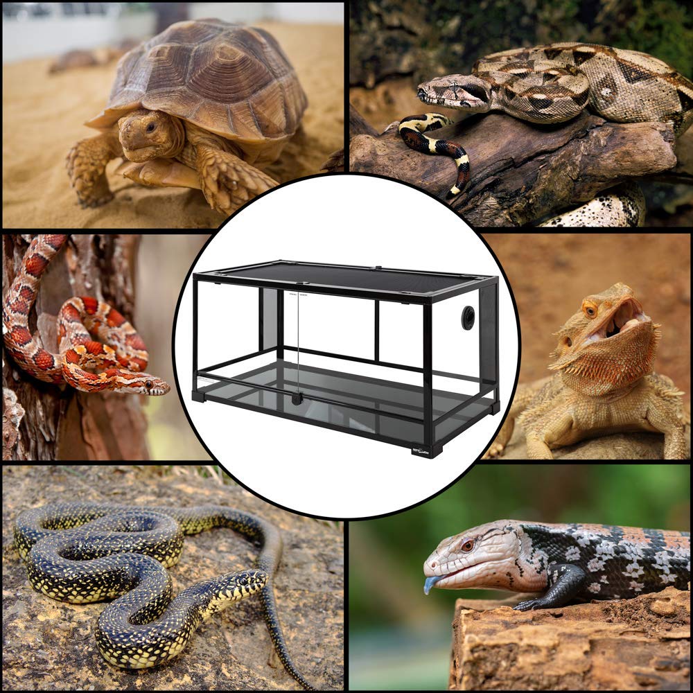 ReptiZoo Terrario de Cristal 91,5 x 46 x 46 cm, Desmontable – enviable. RK0119