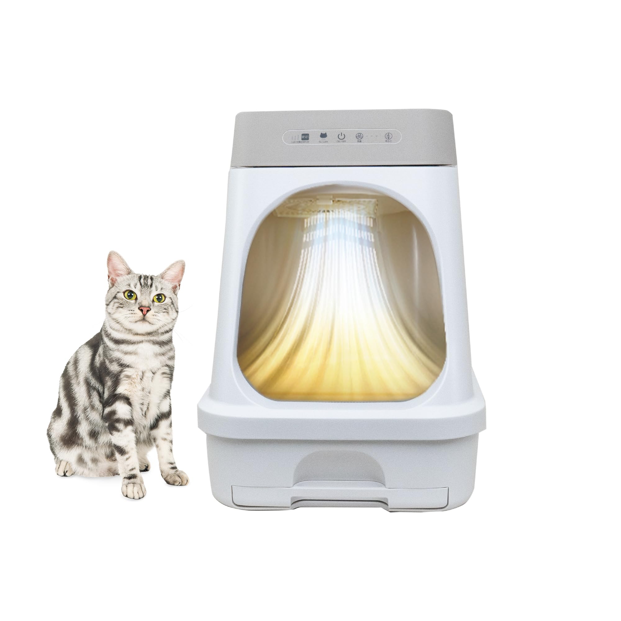 Amazon | 【Amazon.co.jp限定】 【したてウンチもニオわない