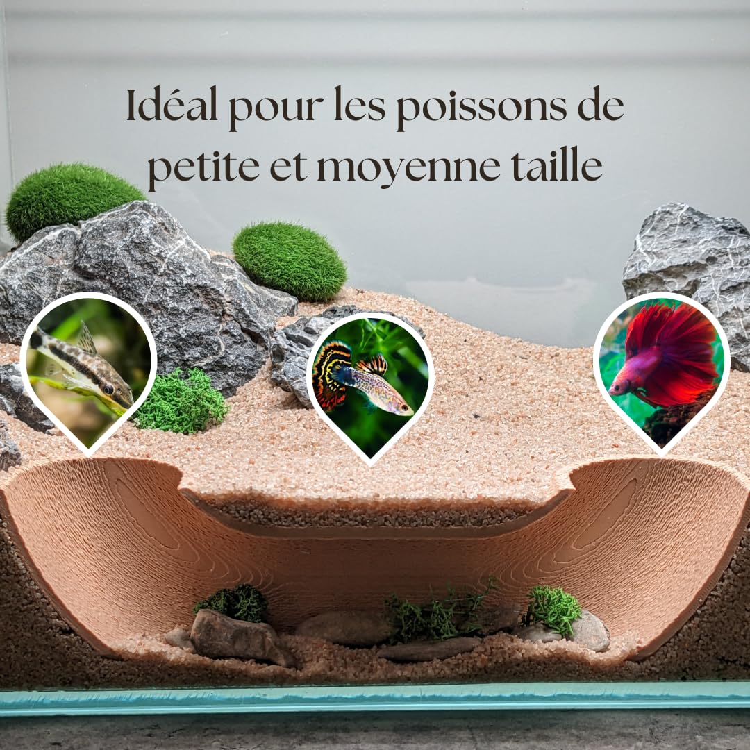 Calathea: Tipi E Cura Della Pianta Che Purifica L'aria - La - Foto 9