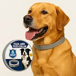 Coleira Antipulgas Natural para Cães 63cm Cinza – Proteção de até 8 Meses + Lata de Alumínio – Óleos Essenciais - Coleira Antipulgas e Carrapatos para Cachorro
