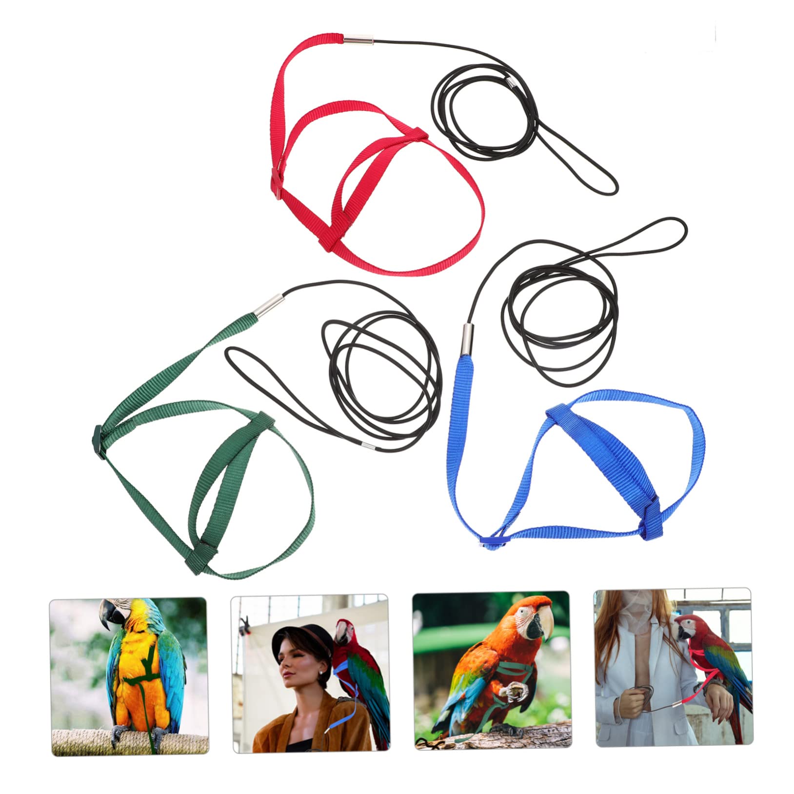 SUPVOX 12piezas Arnés Ajustable para Aves De Entrenamiento Cuerda para Periquitos y Seguridad y