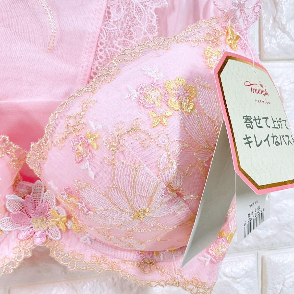 トリンプ　レッドレーベル 0092 ブラジャー&ショーツC75M 定価11330円 C75 トリンプ TR0092 プレミアムデザイン レッド