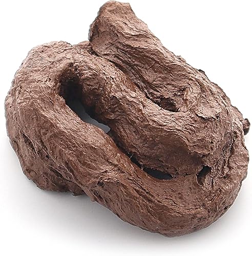 Laughing Smith Juguete de caca para perros falsos Super realista Gag Poo Prank Regalos Diversión para niños y adultos Divertido perro Turd Crap