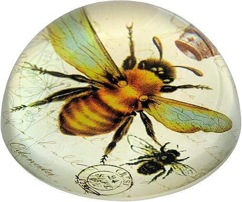 Miniatura 2 de Value Arts Pisapapeles de abeja imperial, cúpula de cristal, caja de regalo, 3 pulgadas de diámetro