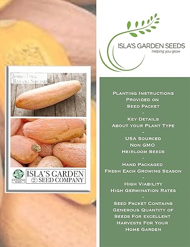 Miniatura 2 de Semillas de calabaza de plátano rosa, más de 15 semillas tradicionales por paquete, semillas de jardín de Isla (semillas de jardín de Isla),