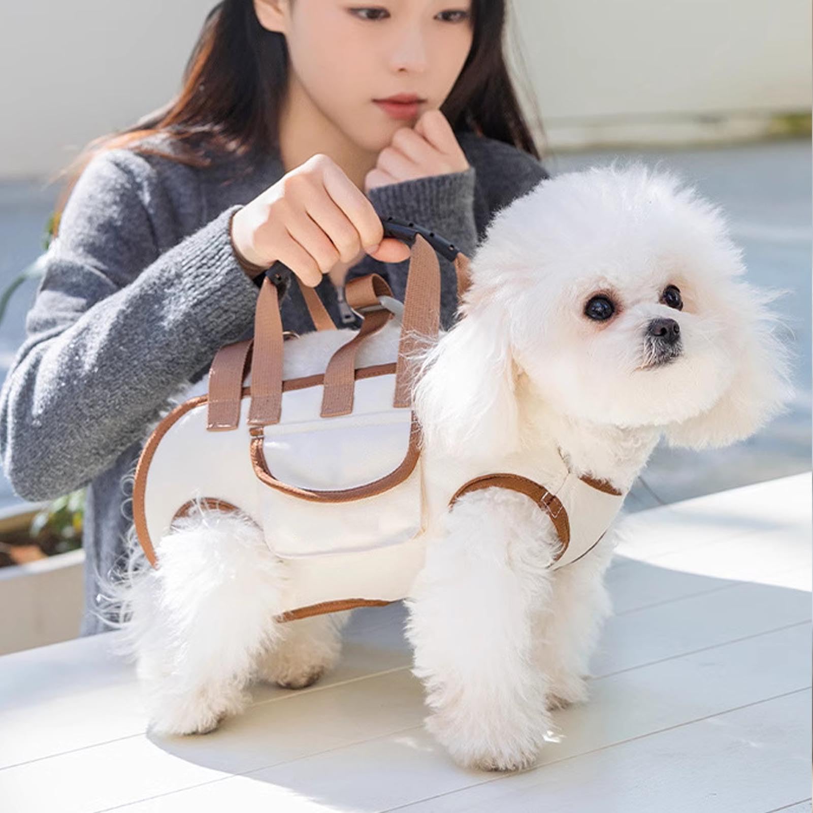 Dog Lift Harness, Pet Carrier with Breathable Material, Adjustable Dog Leash for Small Cats and Dogs, Providing Comfort and Safety for Travel, Convenient and Multifunctional (S) (M) (L) (XL)