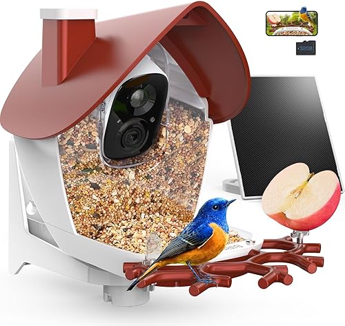 Miniatura 18 de birdsnap® MON - Comedero para pájaros con cámara, video desmontable de 2K en vivo con tarjeta de 32GB, horquilla para frutas, identificación de