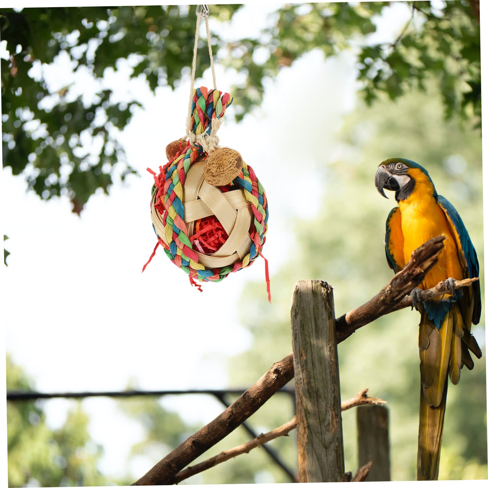 BESPORTBLE 4pièces Jou Suspendre pour Perroquet Naturel Accessoire De Jeu pour Oiseaux Jou Mâcher Déchiqueter pour Cage à Oiseaux