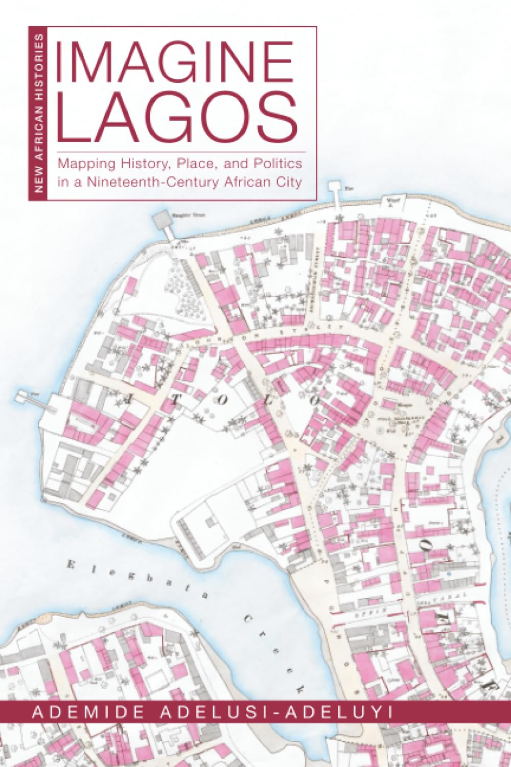 Imagine Lagos: Mapping History, Place, and Politics in a Nineteenth-Century African City (New African Histories)