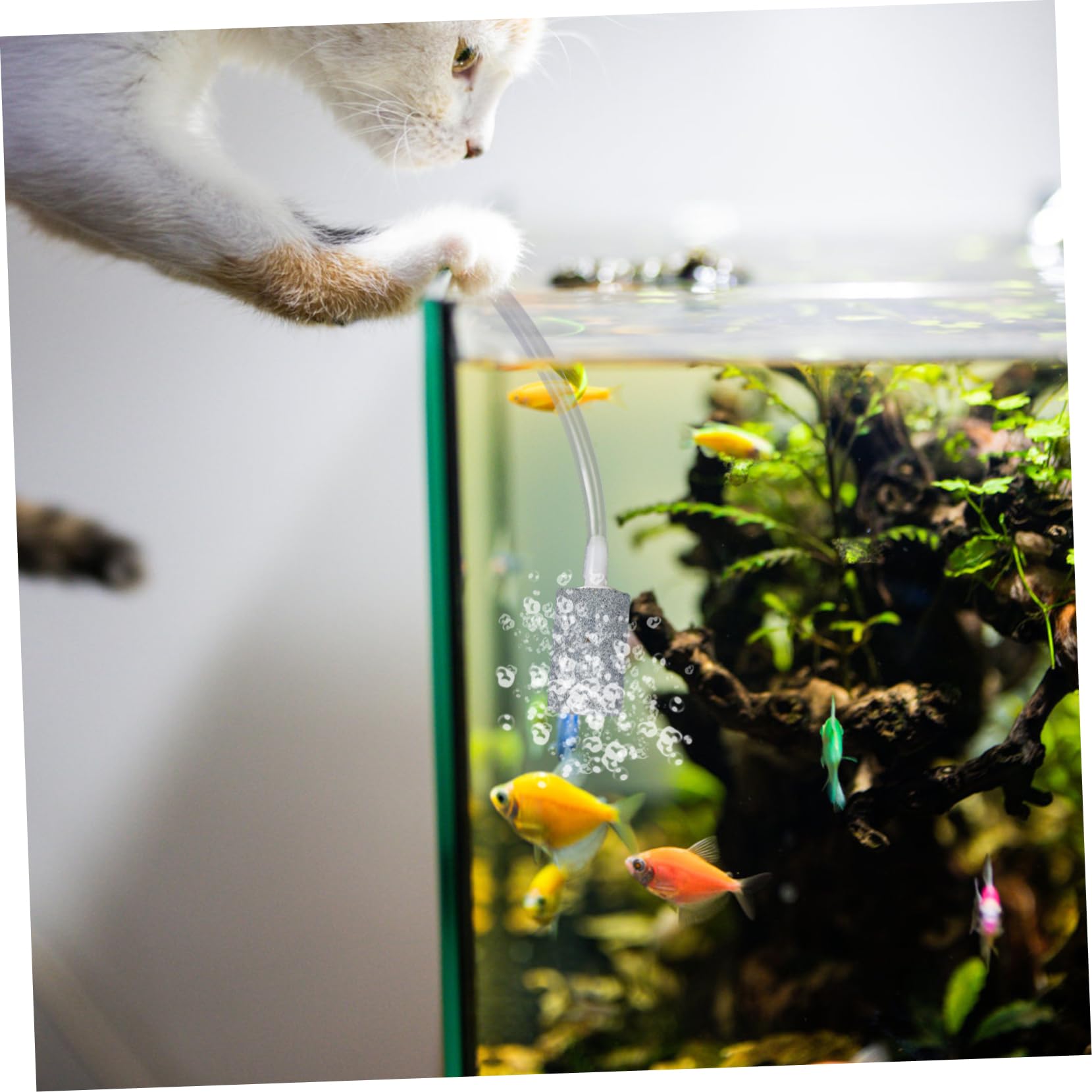 Kisangel 3piezas Bomba De USB para Acuarios y Silenciosa Aumenta El Peceras y Tanques De Agua para Peces y Mascotas Acuáticas