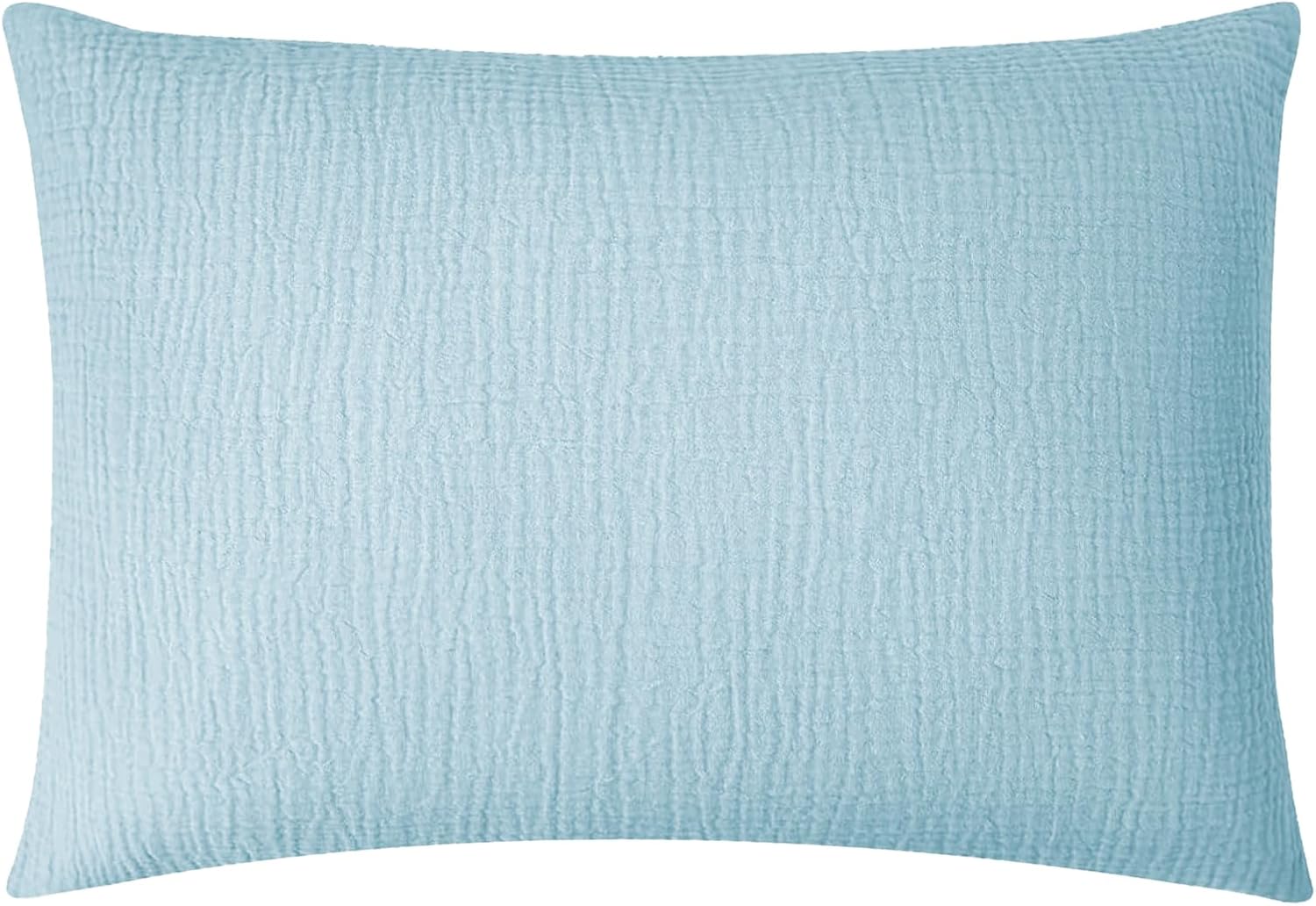 FILOEEX Mini Travel Pillow, 11×7 Inch Small Kids Pillow, Machine Washable Small Nap Pillow for Neck, Wrist, Knee, Legs (Blue)